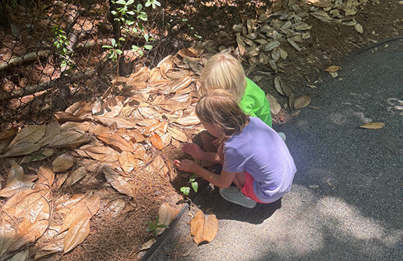 Two children crouch down to explore nature along the fence line of CGA’s outdoor play trail.